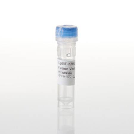 Buy LgBiT-KRAS(G12C) Fusion Vector in NZ. 