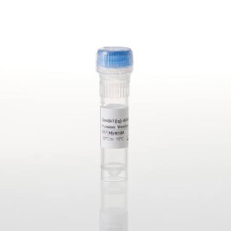 Buy SmBiT(q)-KRAS(G12C) Fusion Vector in NZ.