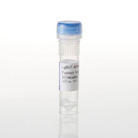 Buy LgBiT-KRAS(G12D) Fusion Vector in NZ.