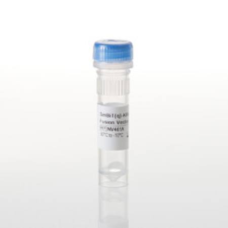 Buy SmBiT(q)-KRAS(G12D) Fusion Vector in NZ.