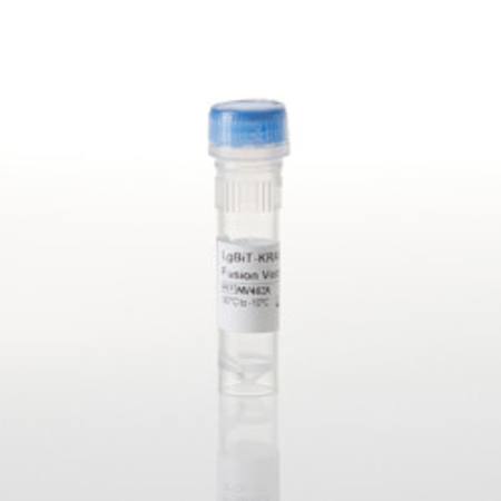 Buy LgBiT-KRAS(G12V) Fusion Vector in NZ.
