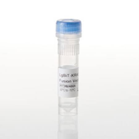 Buy LgBiT-KRAS(G12S) Fusion Vector in NZ.