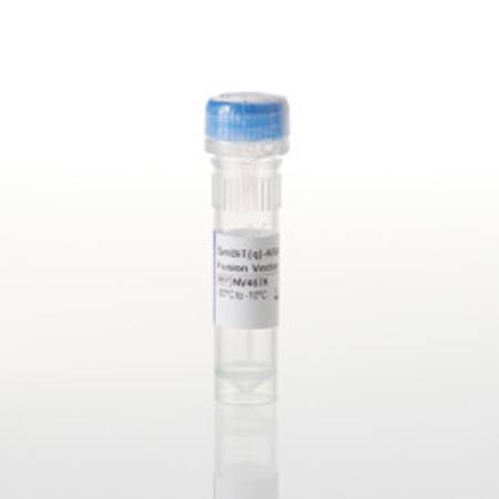 Buy SmBiT(q)-KRAS(G12S) Fusion Vector in NZ.