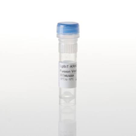 Buy LgBiT-KRAS(G12R) Fusion Vector in NZ.