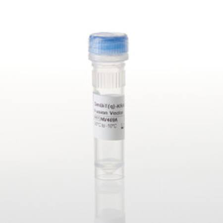 Buy SmBiT(q)-KRAS(G12R) Fusion Vector in NZ.