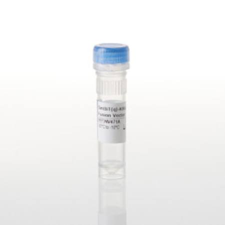 Buy SmBiT(q)-KRAS(G13D) Fusion Vector in NZ. 