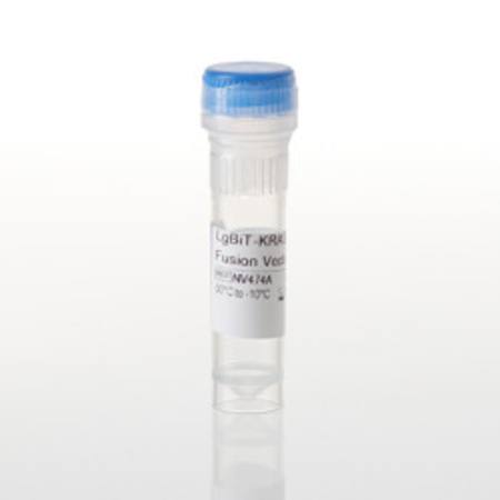 Buy LgBiT-KRAS(Q61L) Fusion Vector in NZ.