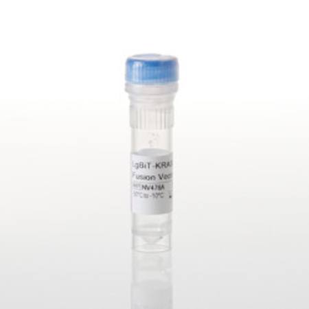 Buy LgBiT-KRAS(Q61R) Fusion Vector in NZ.