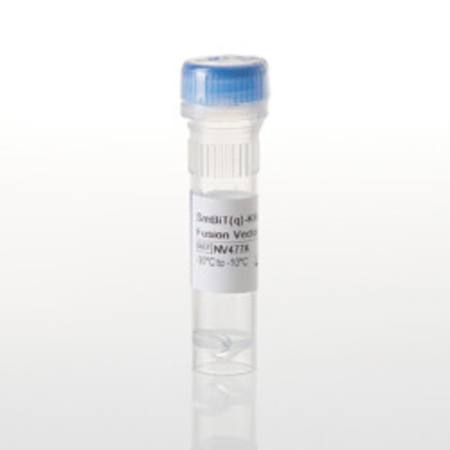 Buy SmBiT(q)-KRAS(Q61R) Fusion Vector in NZ.
