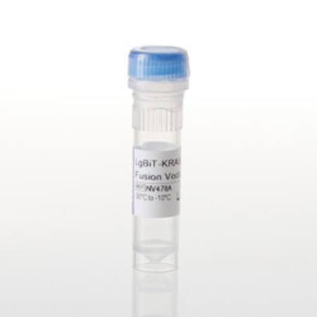 Buy LgBiT-KRAS(Y96D) Fusion Vector in NZ.