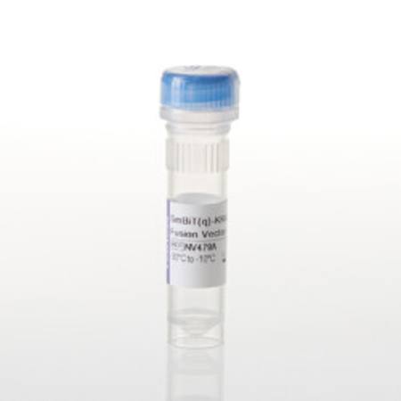 Buy SmBiT(q)-KRAS(Y96D) Fusion Vector in NZ.