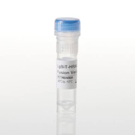 Buy LgBiT-HRAS WT Fusion Vector in NZ.