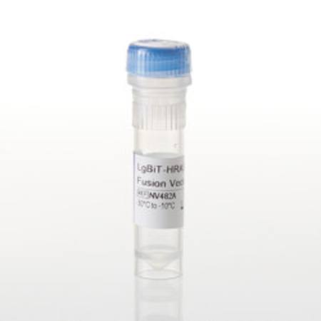 Buy LgBiT-HRAS(G12C) Fusion Vector in NZ.