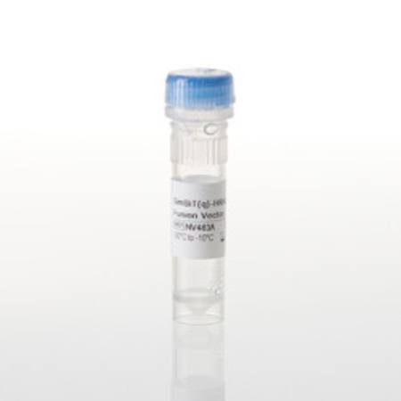 Buy SmBiT(q)-HRAS(G12C) Fusion Vector in NZ. 