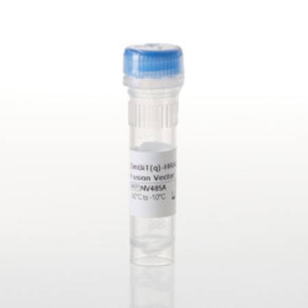 Buy SmBiT(q)-HRAS(G12V) Fusion Vector in NZ.