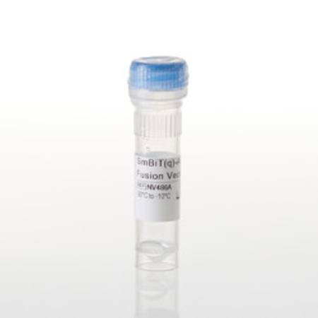 Buy SmBiT(q)-ARAF Fusion Vector in NZ.