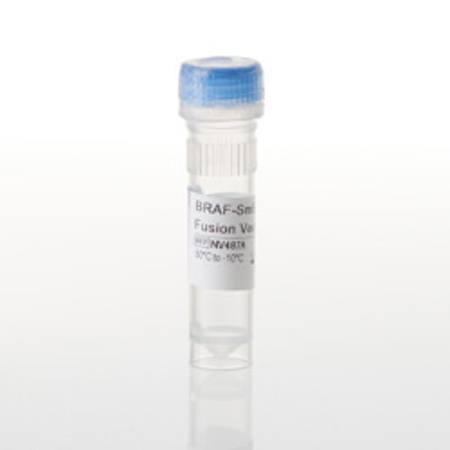 Buy BRAF-SmBiT(q) Fusion Vector in NZ.