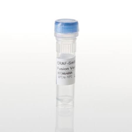 Buy CRAF-SmBiT(q) Fusion Vector in NZ.