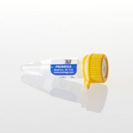 Buy rUTP, 10mM, 0.5ml in NZ. 