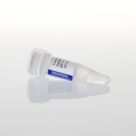 Buy Transcription Optimized 5x Buffer, 200ul in NZ. 