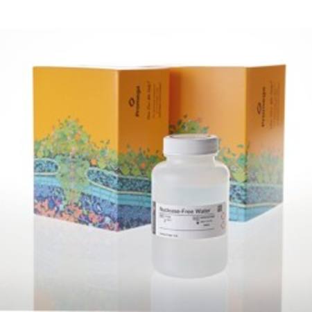 Buy Nuclease-Free Water, 150ml in NZ. 