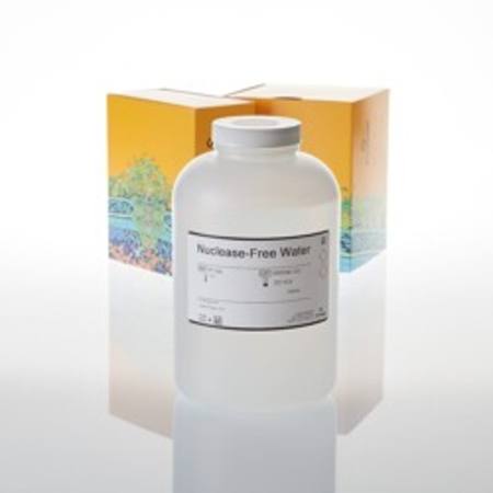 Buy Nuclease-Free Water, 1000ml in NZ. 