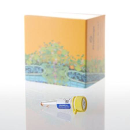 Buy ViviRen(TM) In Vivo Renilla Luciferase Substrate, 0.37mg in NZ. 
