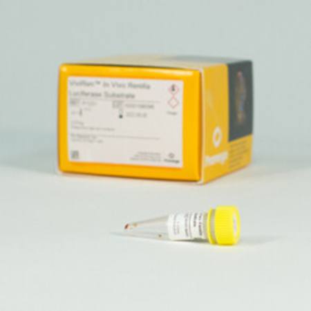 Buy ViviRen(TM) In Vivo Renilla Luciferase Substrate, 3.7mg in NZ. 