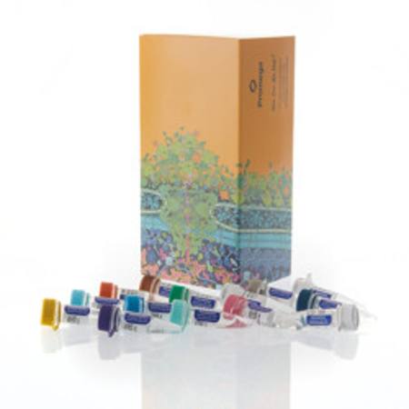 Buy RiboMAX(TM) AOF RNA Production System in NZ.