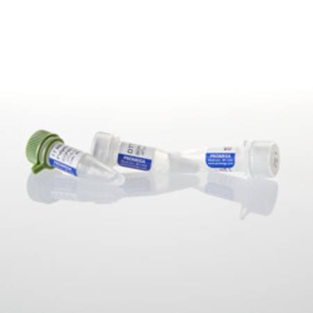 Buy T7 RNA Polymerase, 1,000u in NZ.