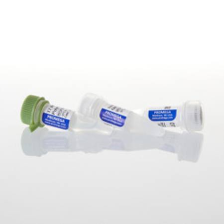 Buy T7 RNA Polymerase, 5,000u in NZ.