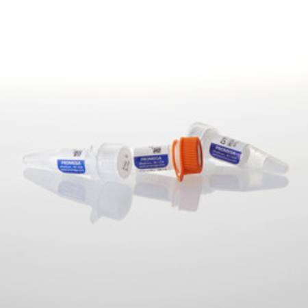 Buy T3 RNA Polymerase, 1,000u in NZ.