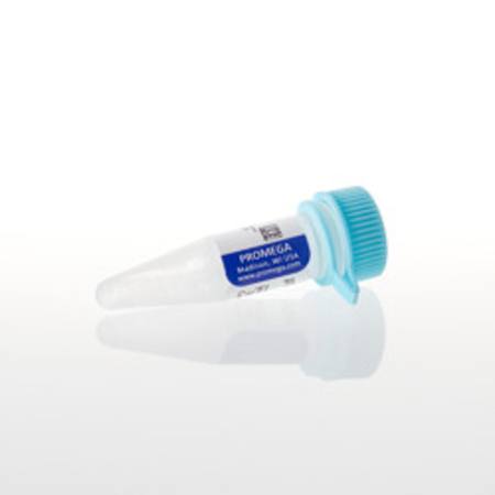 pGEM(R)-3Z Vector, 20ug