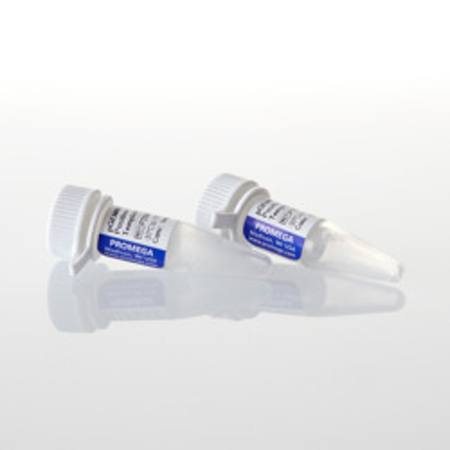 Buy pGEM(R) Express Positive Control Template, 2 x 5ug in NZ. 