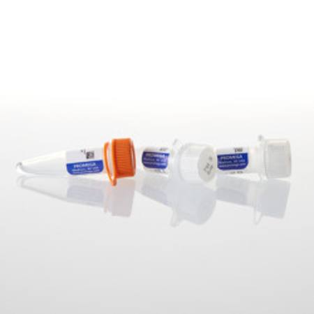 Buy T3 RNA Polymerase (HC), 2,500u in NZ.