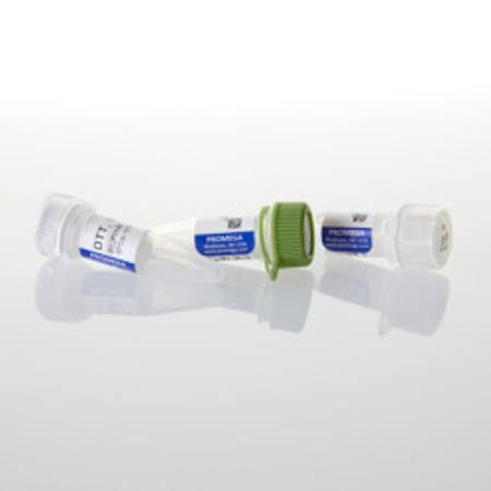 Buy T7 RNA Polymerase (HC), 10,000u in NZ.