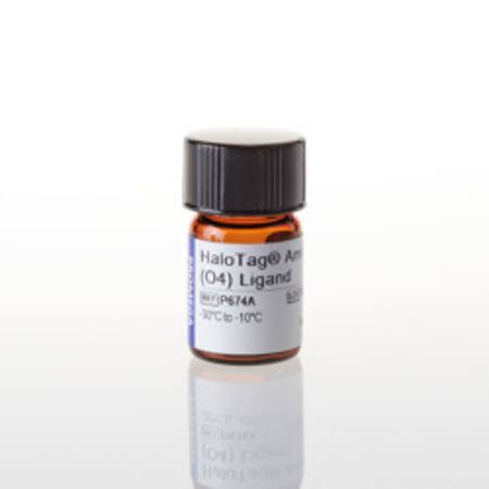 Buy HaloTag(R) Amine (O4) Ligand in NZ. 