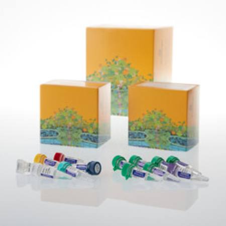 PowerSeq(R) Whole Mito System