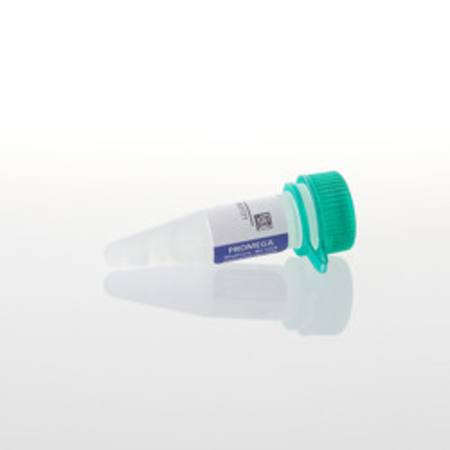Buy SP6 Promoter Primer, 2ug in NZ.