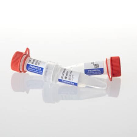 Buy 10X Flexi(R) Enzyme Blend (Sgf I and Pme I), 25ul in NZ. 