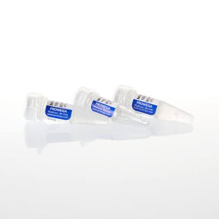 MULTI-CORE(TM) Buffer, 3ml (3 X 1ml)