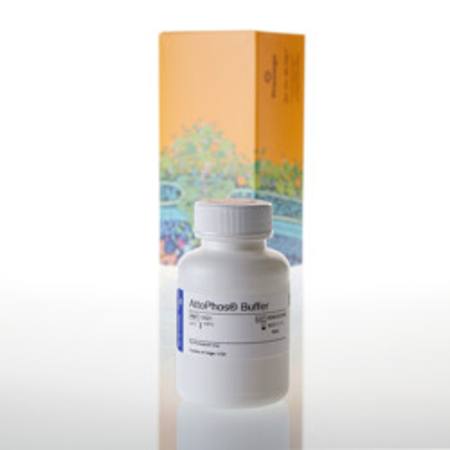 Buy AttoPhos(R) Buffer, 60ml in NZ. 