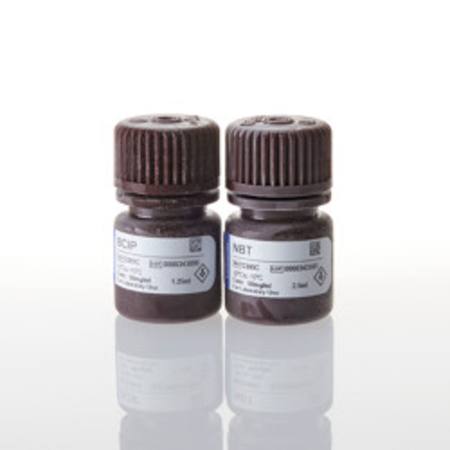 Buy BCIP/NBT Color Development Substrate in NZ. 