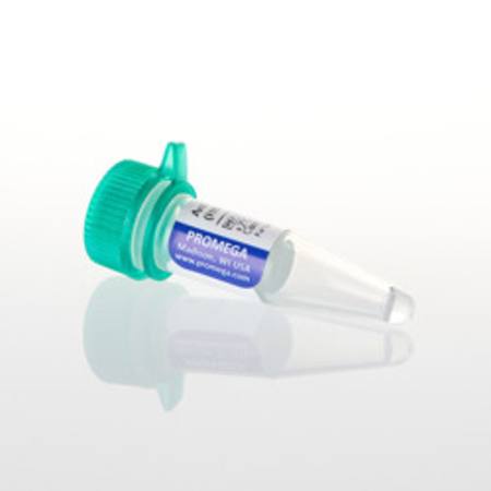 Buy Anti-Human IgG AP Conjugate, 100ul in NZ.