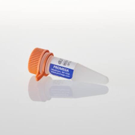 Buy dUTP, 100mM, 40uMoles in NZ. 