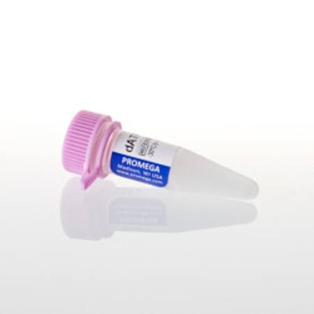 Buy dATP, 100mM, 40uMoles in NZ.