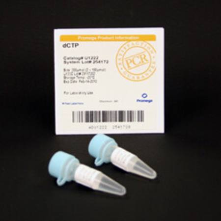 Buy dCTP, 100mM, 200uMoles in NZ.