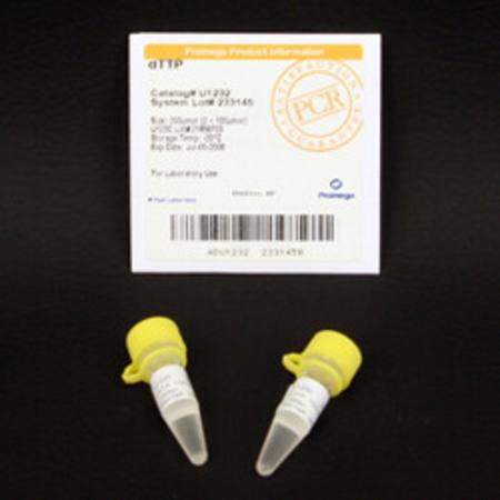 Buy dTTP, 100mM, 200uMoles in NZ.