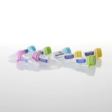 Buy 4 dNTP's, 100mM 200 uMoles of each in NZ.