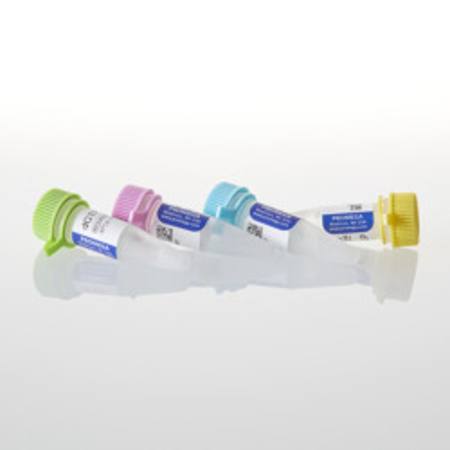 Buy 4 dNTP's, 25uMoles each in NZ.